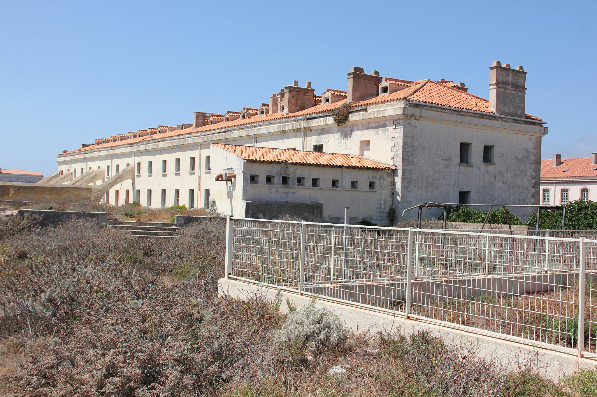Bonifacio